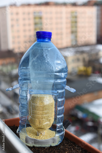 Automatic bird feeder made from reused plastic bottles on urban backdrop. Grains are pours itself. Wild birds care.