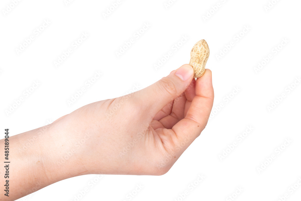 cigaret woman hand isolated on white background cigaret woman hand isolated on white background