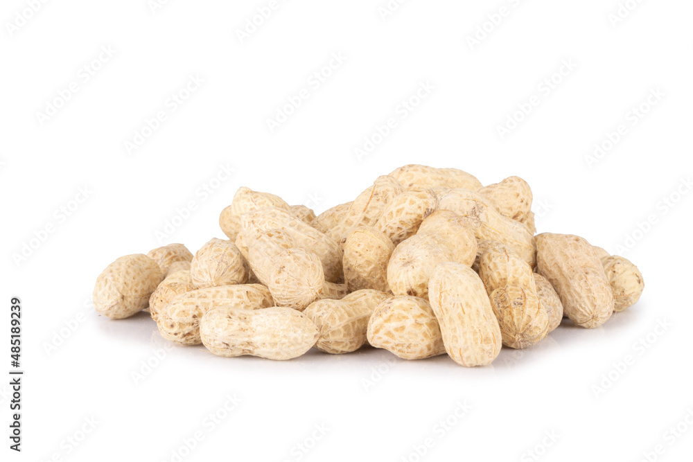 peanuts pile single isolated on white background peanuts pile single isolated on white background