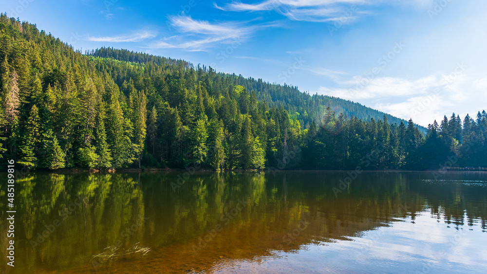 countryside landscape with lake in summer. forest reflection in the water. beautiful travel background of synevyr national park, ukraine. scenic nature view. green outdoor environment on a sunny day