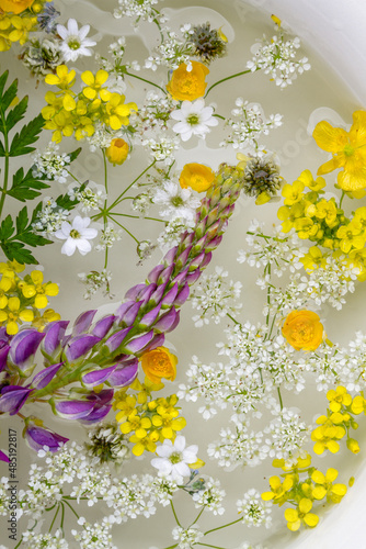 Floating wildflowers and herbs in water