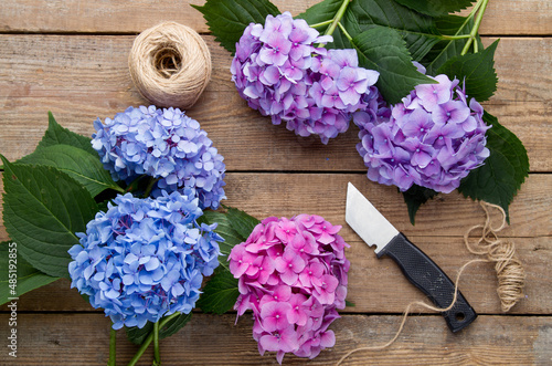Hydrangea branches and a knife on an old wooden table