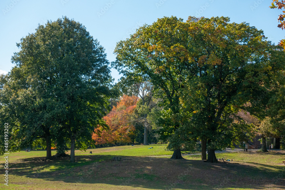 The Long Meadow, in Brooklyn's Prospect Park, in early Fall.