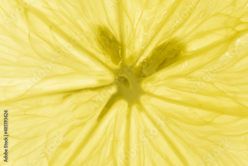 Macro close-up of a lemon with pits. Transparent lemon texture. Macro detail of fresh juicy lemon. High quality photo