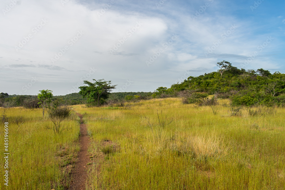 Savanna landscape in the caatinga biome - Oeiras, Piaui state, Brazil Savanna landscape in the caatinga biome - Oeiras, Piaui state, Brazil