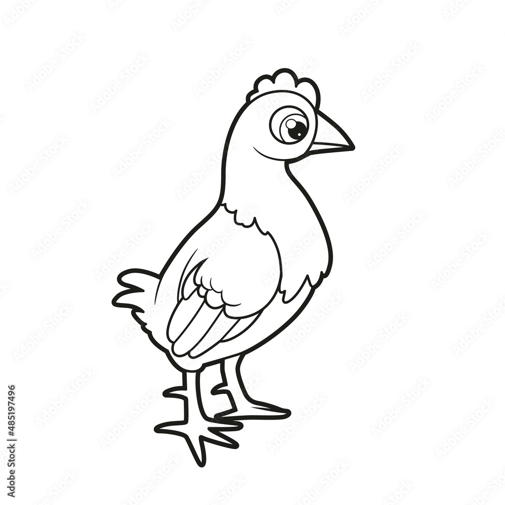 Obraz premium Cute cartoon young hen stands straight outlined for coloring page on white background