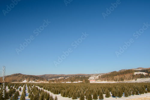A winter countryside landscape in the province of Quebec  Canada