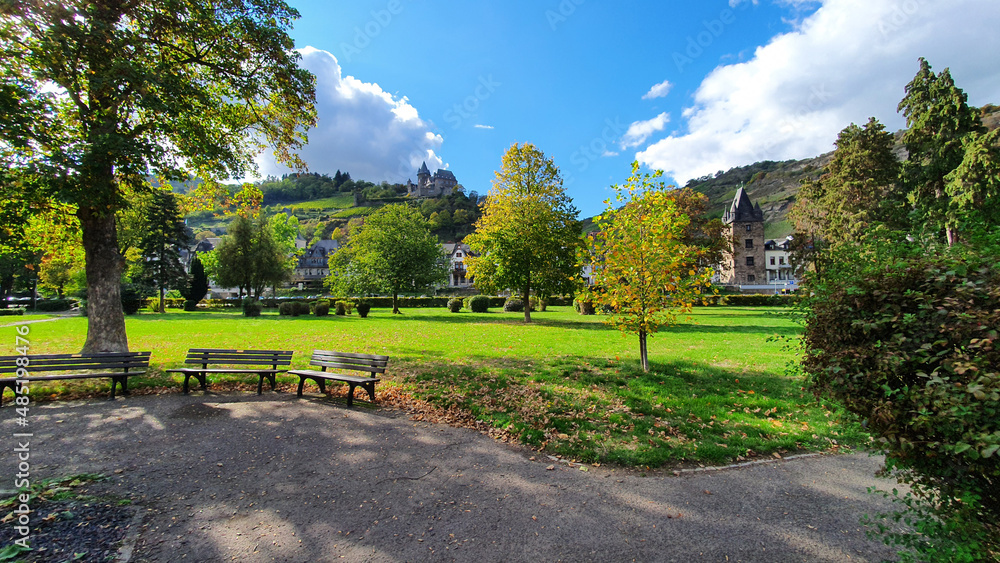 Fototapeta premium Park near the castle in summer.