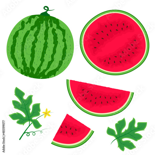 Set of watermelon, watermelon slices and leaves. For decorating banners, postcards, web projects and products. Simple flat vector illustration