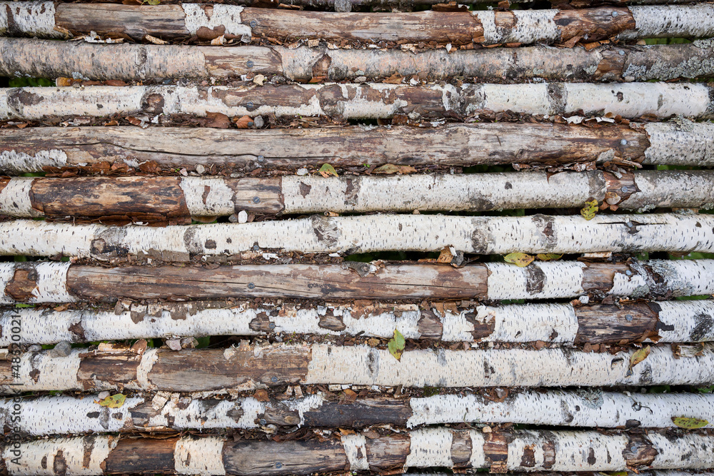 Birch logs in rows for the bridge in the village. the trees are stacked. wood Birch logs in rows for the bridge in the village. the trees are stacked. wood