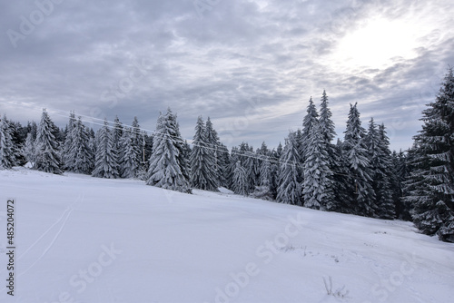 snow covered trees in the mountains - beautiful landscape in germany