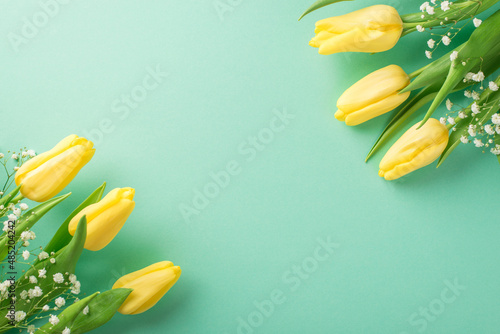 Top view photo of woman's day composition two bunches of yellow tulips and white gypsophila on isolated pastel blue background with copyspace