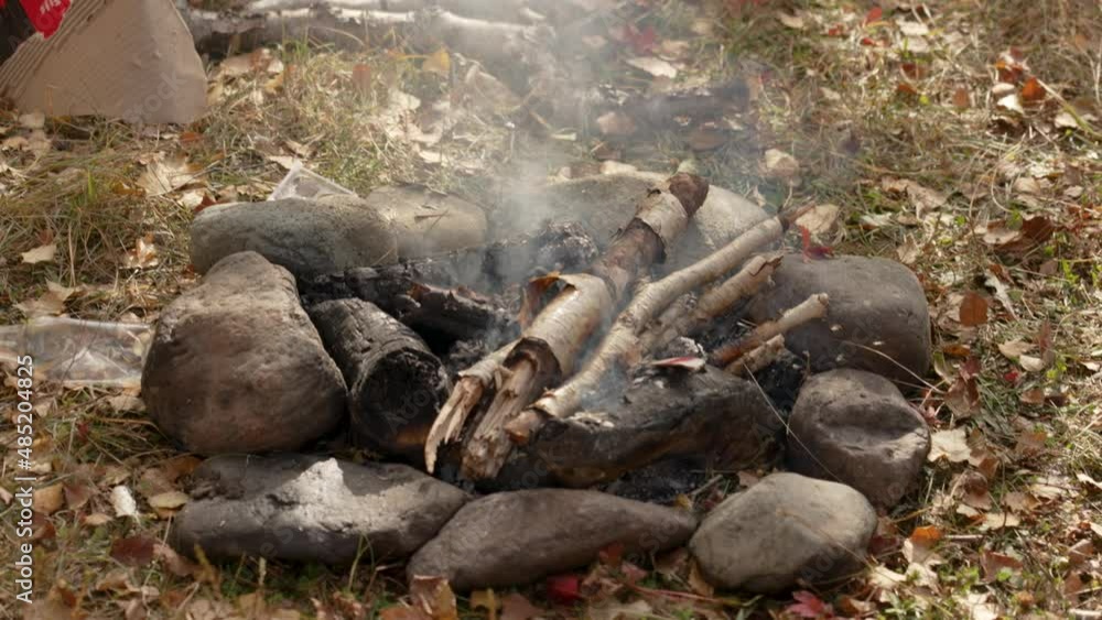 in the autumn forest firewood calves in a fire in the autumn forest firewood calves in a fire