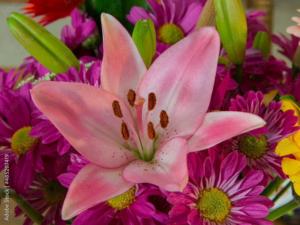 flowers flowers