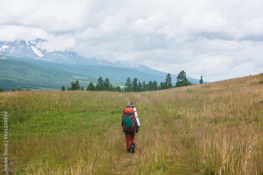 Traveling man in red with big backpack on way to snowy mountain range in low clouds. Backpacker walks through forest to large mountains under cloudy sky. Dramatic landscape with tourist in mountains. Traveling man in red with big backpack on way to snowy mountain range in low clouds. Backpacker walks through forest to large mountains under cloudy sky. Dramatic landscape with tourist in mountains.