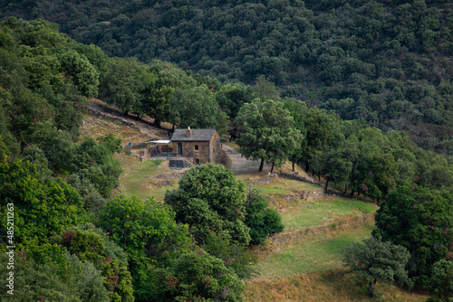 Mas de pierre, ferme au milieu des bois avec  ses cultures en terrasse sur le flanc d'une montagne sauvage. Cévennes France.