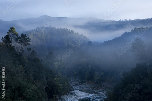 Rivière de montagne au creux d'une vallée sauvage et boisée dans la brume matinal en hiver. 