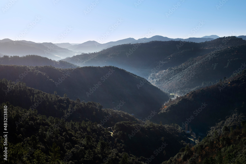 Vallée sauvage et boisée dans la brume et le soleil levant en automne dans les montagne des Cévennes en France.