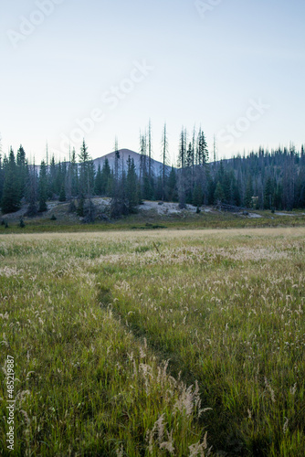 Colorado Weminuche Wilderness Scenery and Meadow photo