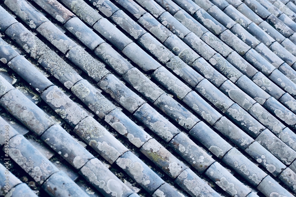 お寺の瓦屋根のクローズアップ写真