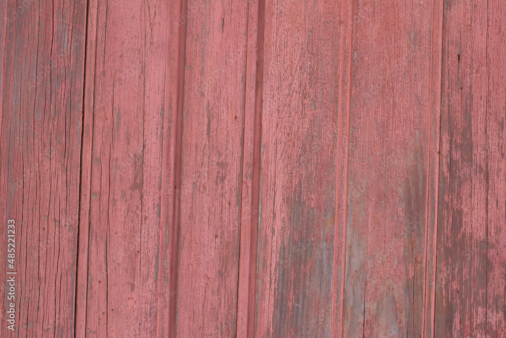 Obraz premium background with wood texture