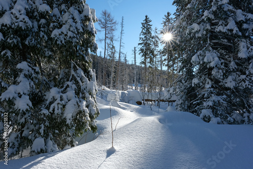 Beautiful snowy scenery with sunrays in High Tatras near to Poprad Lake, Slovakia photo