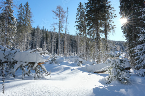 Beautiful snowy scenery with sunrays in High Tatras near to Poprad Lake, Slovakia photo