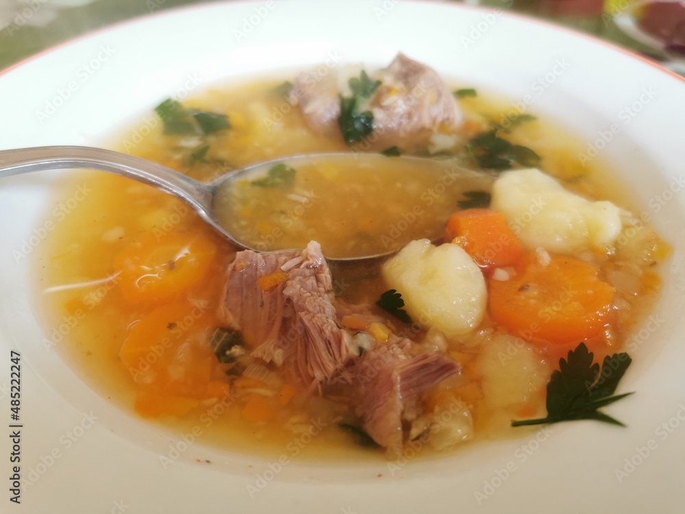 a plate of soup with vegetables and beef a plate of soup with vegetables and beef