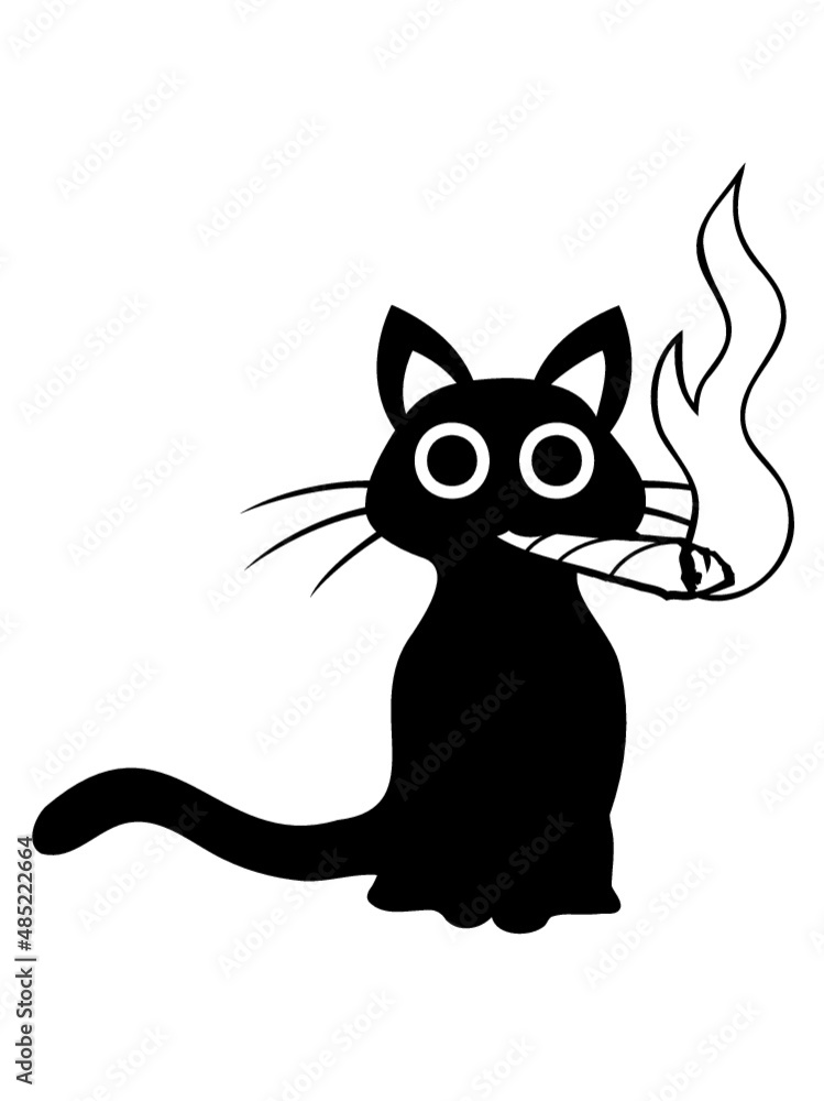 Katze raucht Joint 