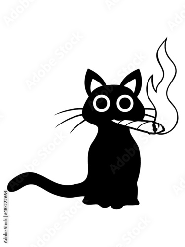 Katze raucht Joint 