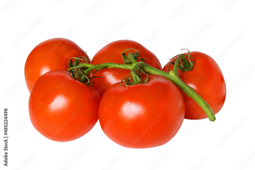 Five ripe tomatoes on a green twig Five ripe tomatoes on a green twig