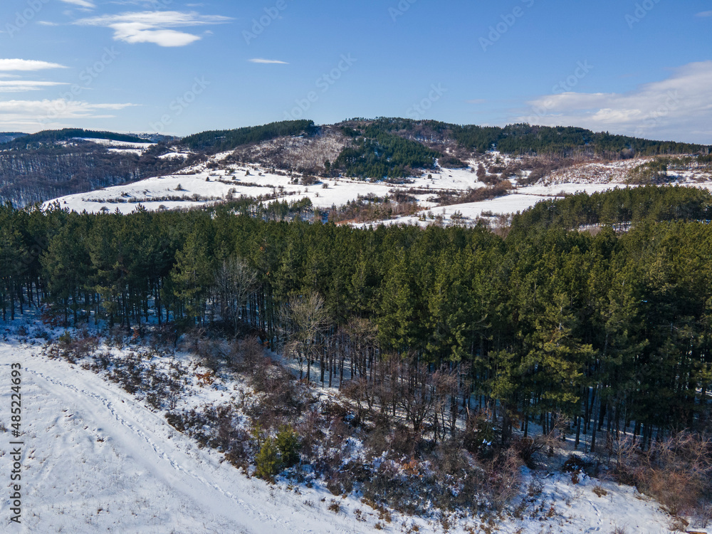 Aerial Winter view of Lyulin Mountain covered with snow,  Bulgaria