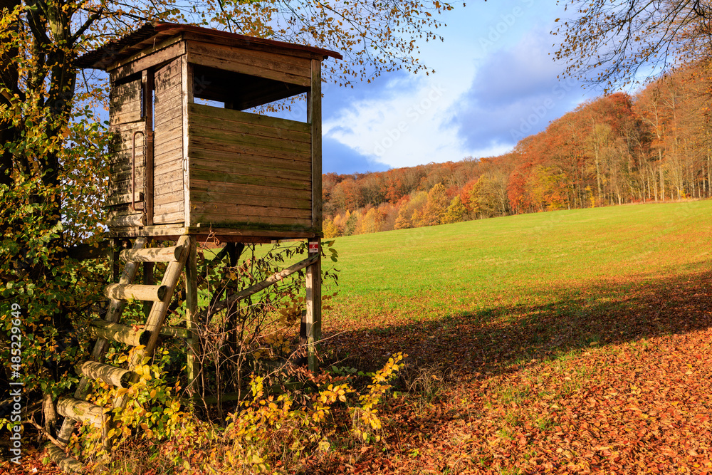 ein Jägerstand im Herbstlichen Wald ein Jägerstand im Herbstlichen Wald