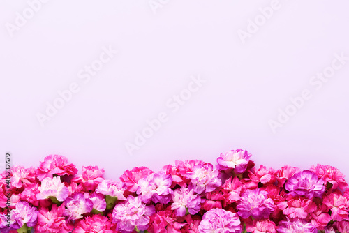 Pink and purple carnation flowers border on a lilac background. Top view, copy space