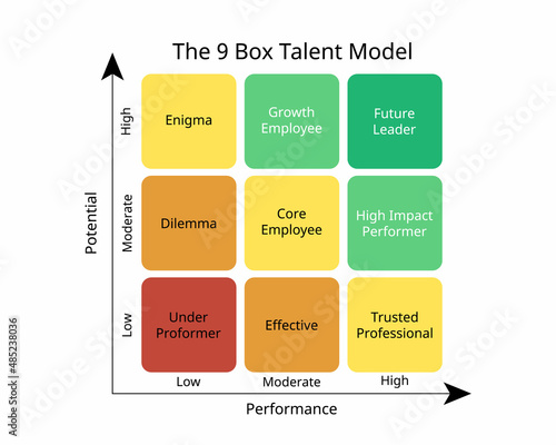 the 9 box talent model or the 9-box grid  is a tool used to analyze, display, and compare employee work performance and potential photo