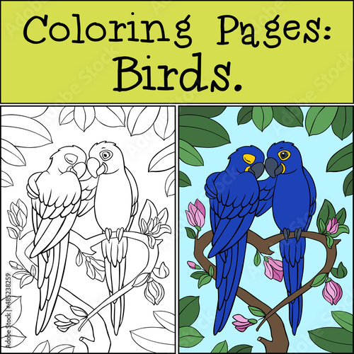 Coloring page with example. A pair of cute parrots blue macaw sits and smiles.