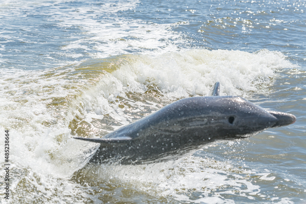 Naklejka premium creative