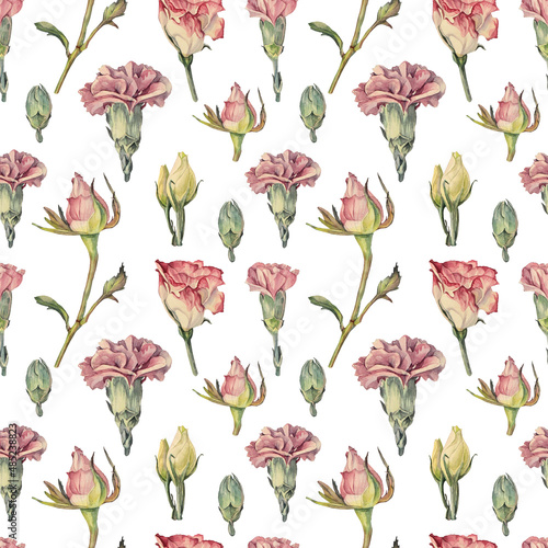 Seamless pattern watercolor pink rose bud and carnation and green leaves isolated on white background. Spring summer hand-drawn flower for a wedding, March 8 celebration. Art for a postcard, sticker