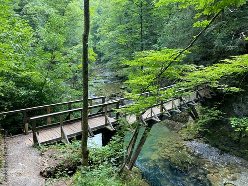 Wooden hiking trails and bridges along the protected landscape of the Kamacnik canyon - Vrbovsko  Croatia  Drvene pje  a  ke staze i mosti  i du   za  ti  enog krajolika kanjona Kama  nik - Gorski kotar 