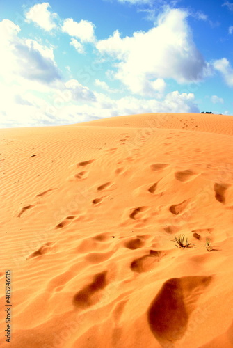 footprints in the sand