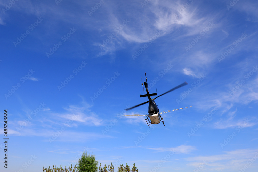 an agricultural helicopter flying against American white moth flies from the landing point to the spraying area, North China an agricultural helicopter flying against American white moth flies from the landing point to the spraying area, North China