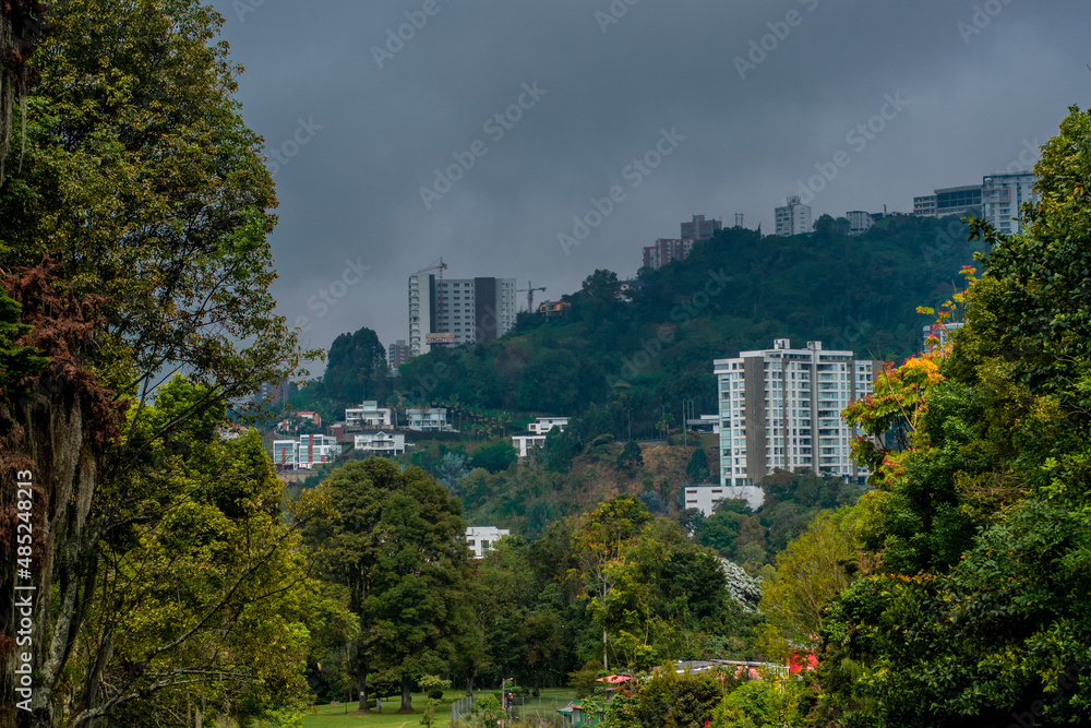 Fototapeta premium park in the city