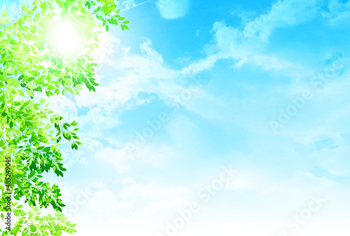 新緑　葉　風景　背景