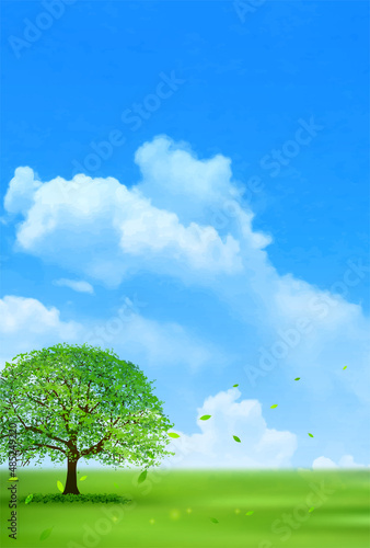 空　草原　風景　背景