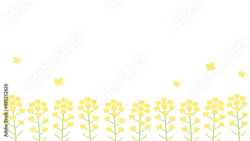 菜の花の背景イラスト　16:9