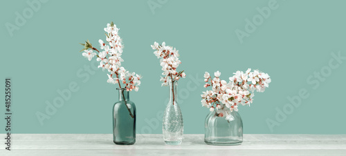 Spring or summer festive blooming with white flowers fruit tree branches in three small glass vases against tender pastel green background. Fresh floral wide background banner with copy space