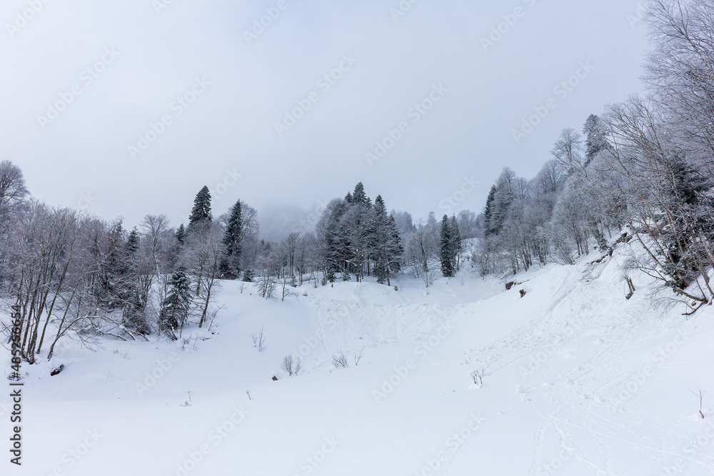 Winter snow-covered forest in the mountains, majestic slopes in snow captivity.