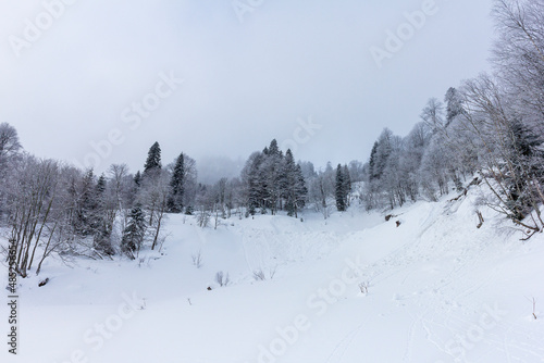 Winter snow-covered forest in the mountains, majestic slopes in snow captivity.