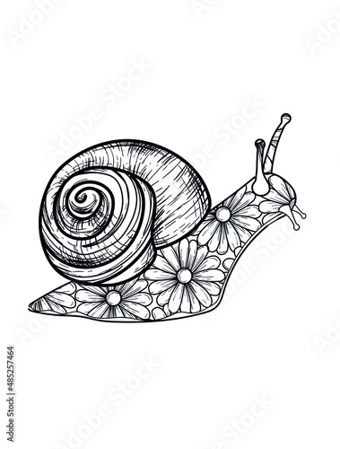 Vector illustration of the snail with flowers design