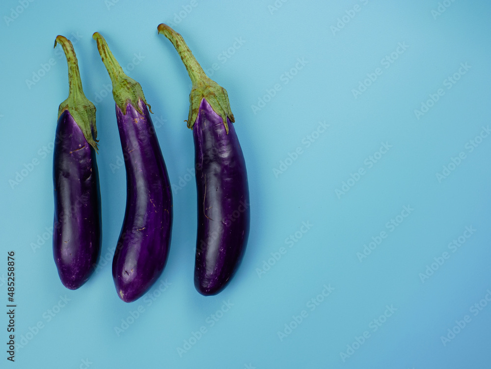 purple eggplant on a blue background. healthy food concept for diet purple eggplant on a blue background. healthy food concept for diet